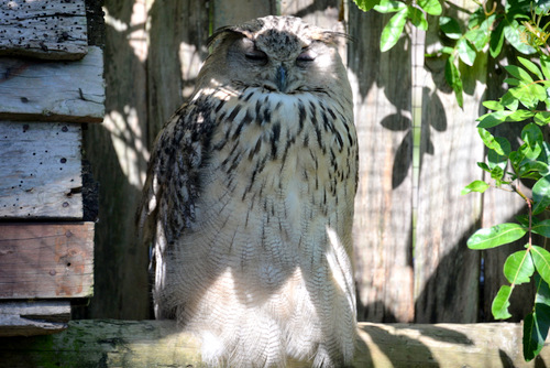 World of Birds Wildlife Sanctuary.